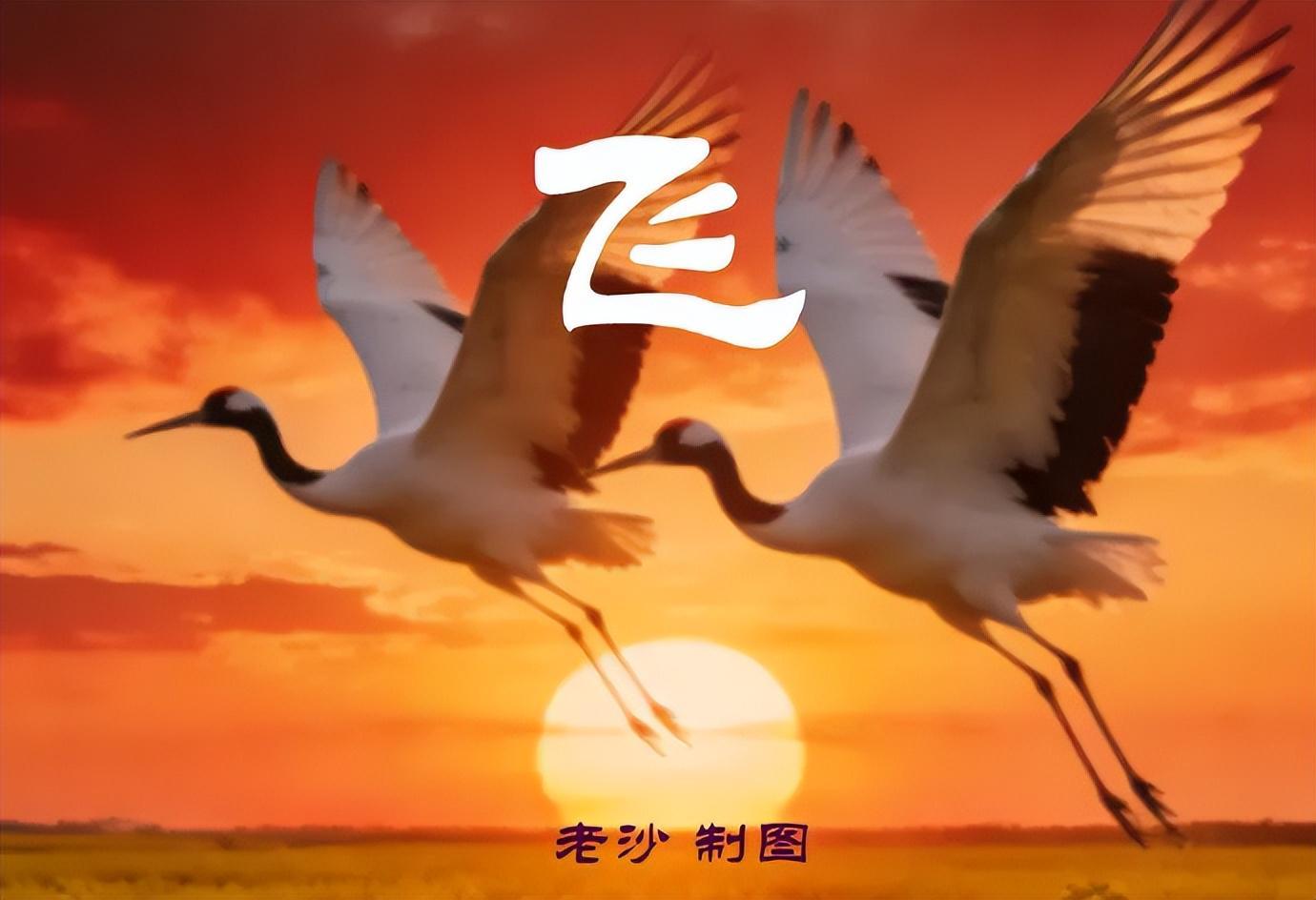 云开体育官网-4.28股市早8点丨英伟达疯了谷歌飙了
